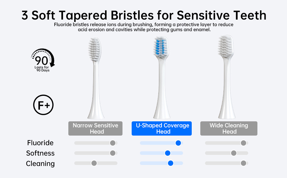 What is the Leonard Method of Brushing Teeth? An OEM Manufacturer’s Guide