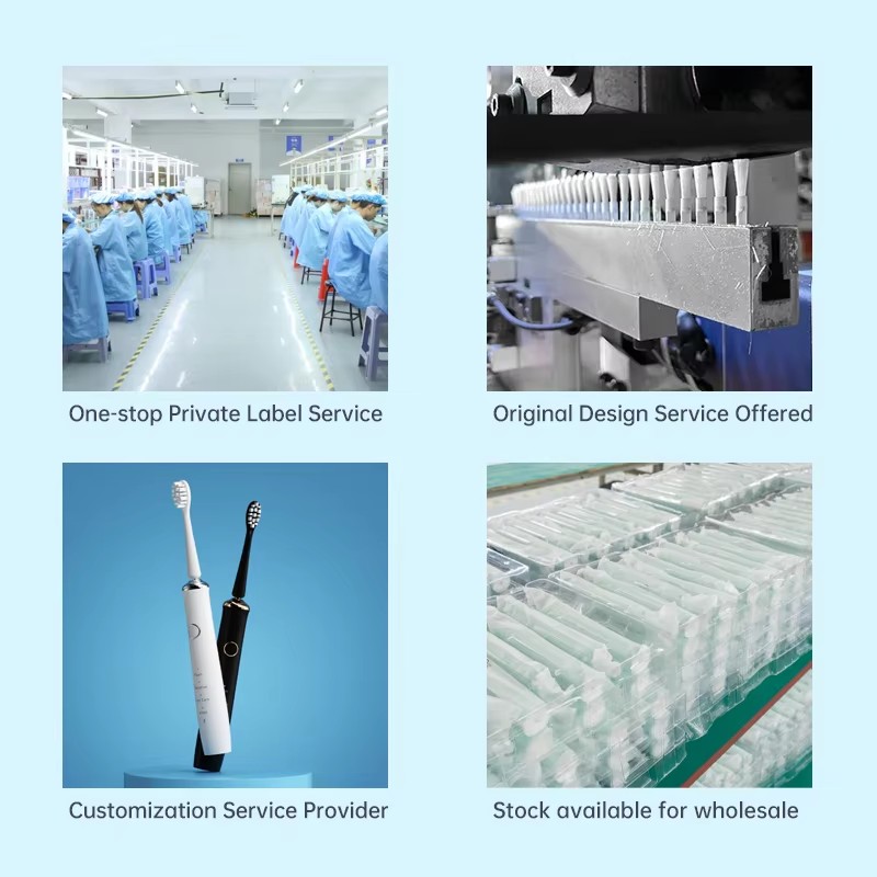 Custom Electric Toothbrush Supplier